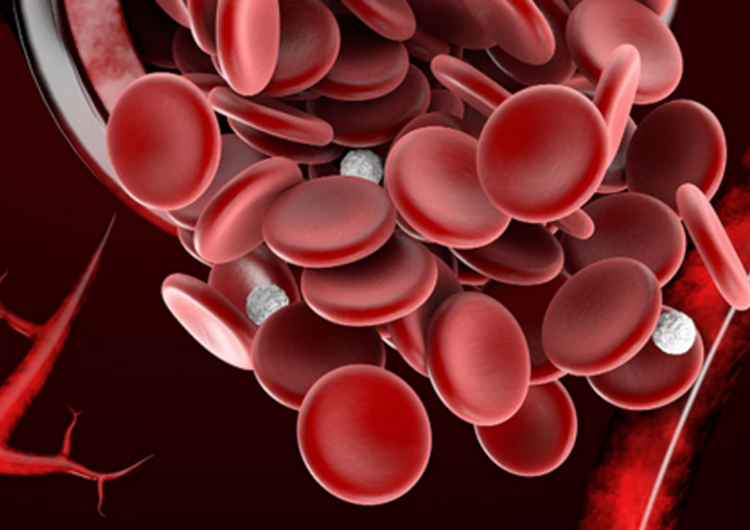Hemostasia y trombosis: La delgada línea entre la salud y un desorden sanguíneo con fatales desenlaces