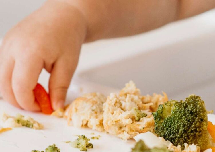 Alimentación perceptiva: una modalidad de alimentación fundamental para niñas/os para una óptima alimentación y salud para la vida