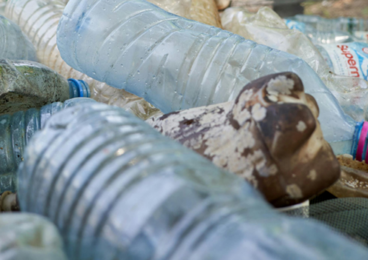 Los peligros ocultos en las botellas de plástico