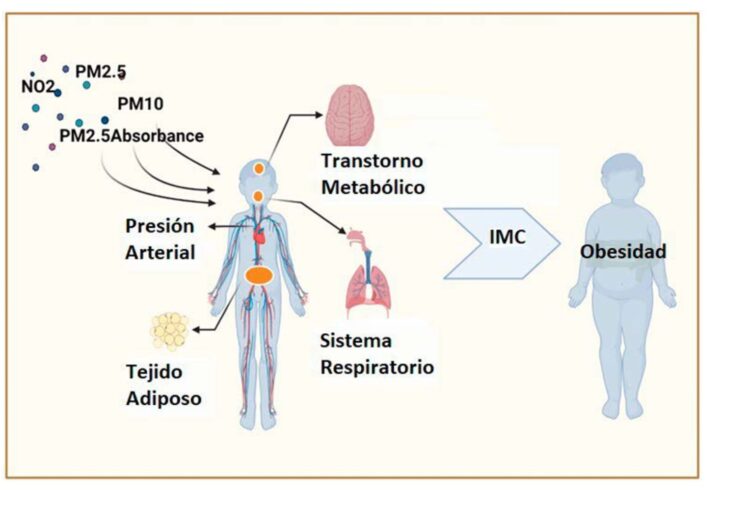 ¿El aire contaminado influye en nuestro peso? Evidencia desde el estudio ESMaestras en el Valle de México
